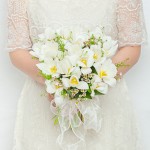 Hoa cưới - White Tulip - 3660