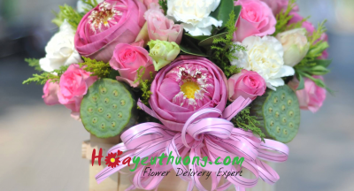 Ý nghĩa hoa sen. Có nên chọn hoa sen làm quà tặng?