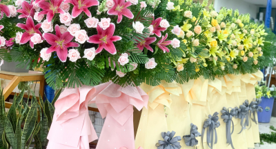 Giải oan cho những loài hoa bị hiểu lầm: ý nghĩa thực sự đằng sau những quan niệm cấm kỵ về hoa