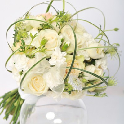 Hoa cưới - White Tulip - 3660